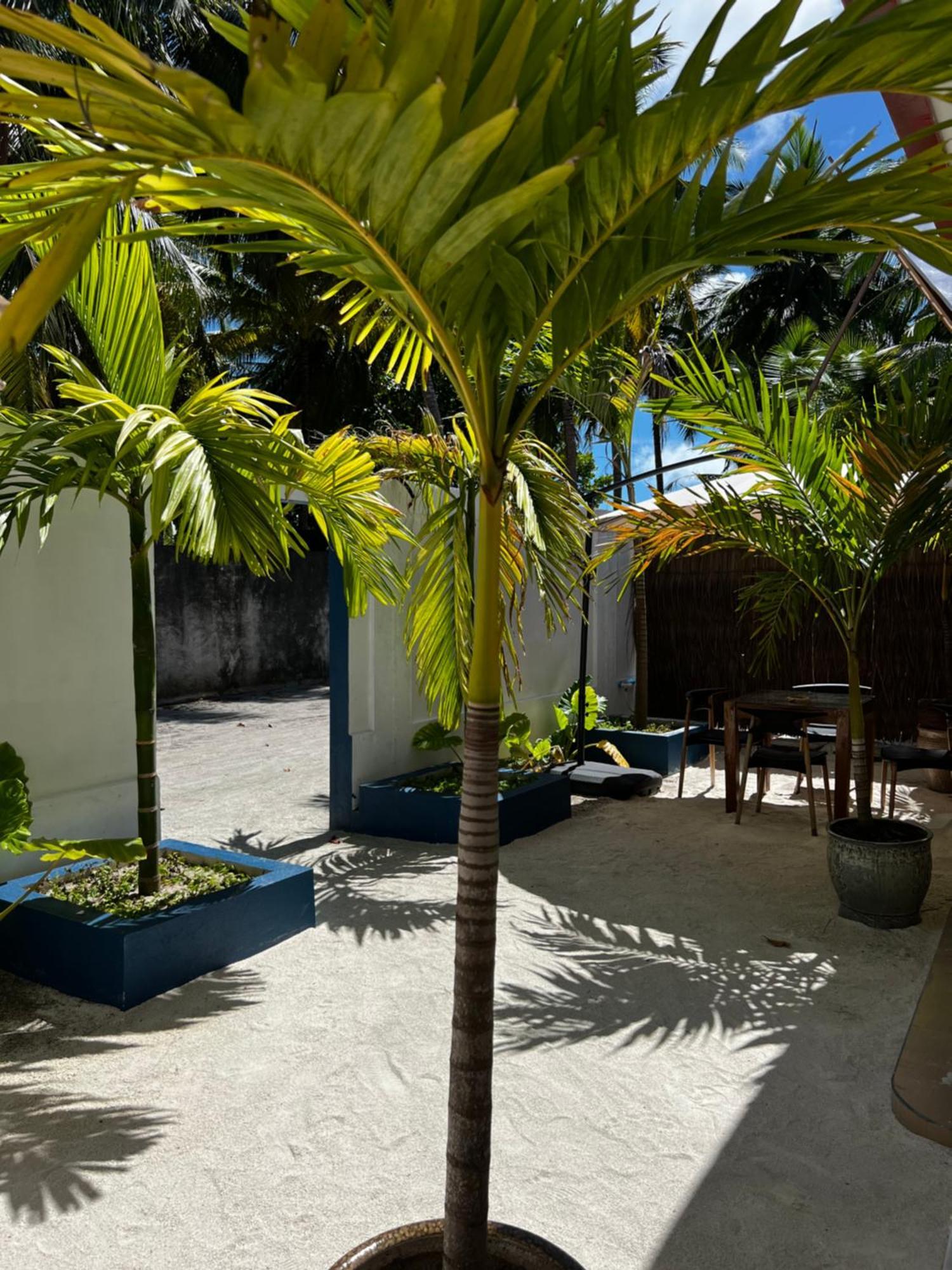 Captal Beach Villa Mathiveri Exteriör bild